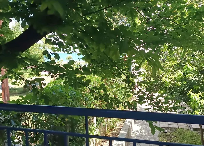 Konstantinidis *