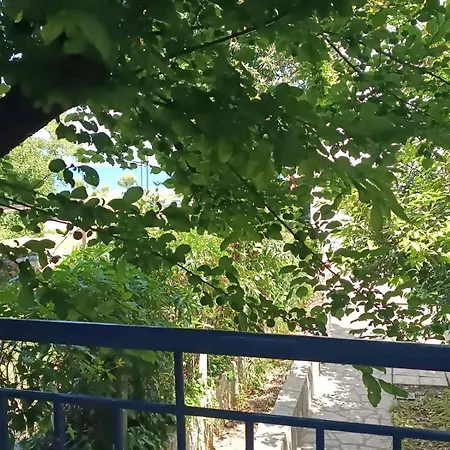 Konstantinidis *