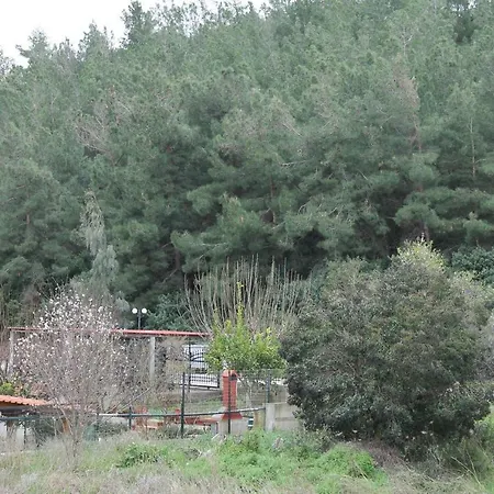 Konstantinidis Apartmán